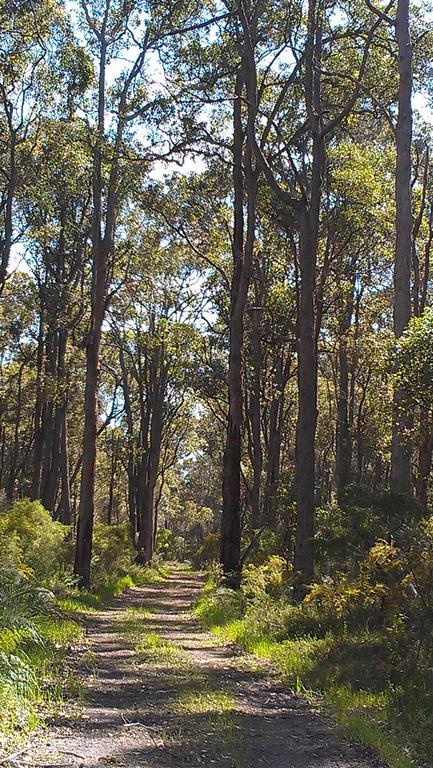 Redgate Forest Retreat Witchcliffe Екстер'єр фото